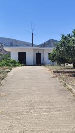 IMG_20260610_113353