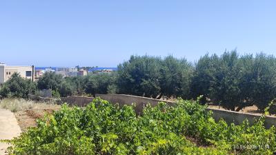 IMG_20260610_113454