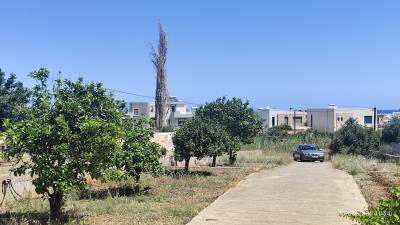 IMG_20260610_113458