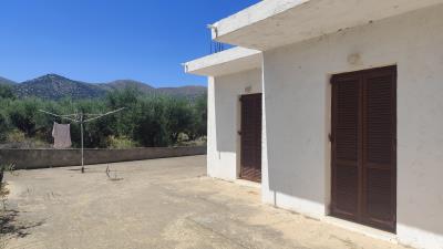 IMG_20260610_113751
