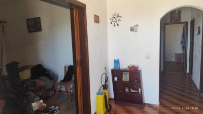 IMG_20260610_113555
