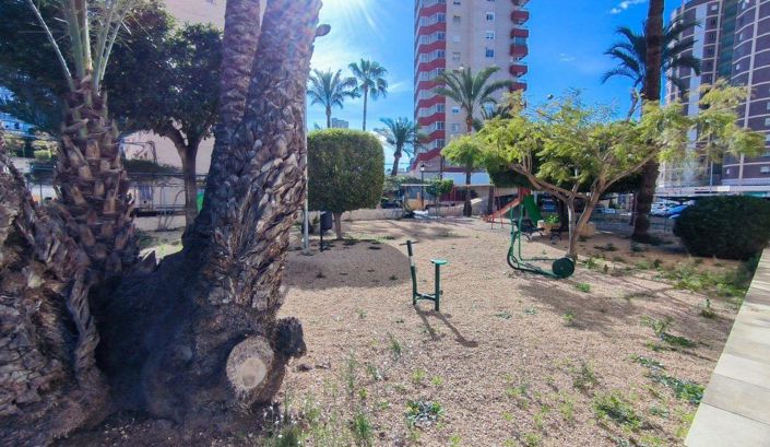 Image No.13-Appartement de 3 chambres à vendre à Alicante