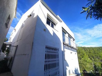 7342592015040394foto525819