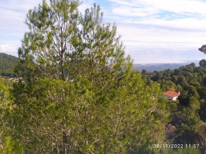 Image No.52-Maison de ville de 4 chambres à vendre à Valencia