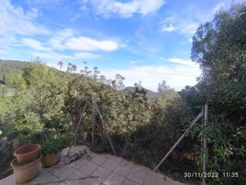 7342592015040394foto825238