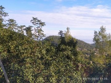 7342592015040394foto589039