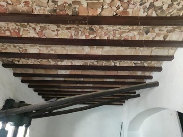 7342592015128414foto628598