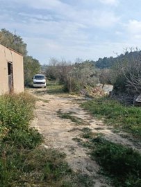 7342592015131547foto068713