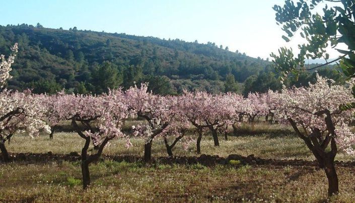 Image No.17-Maison de ville de 3 chambres à vendre à Castellon