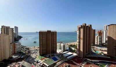 7342592015200440foto159103