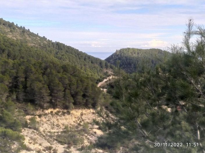 Image No.17-4 Bed Townhouse for sale