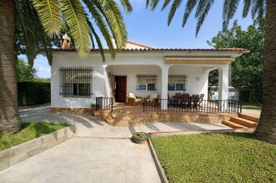 7342592015402979foto376183