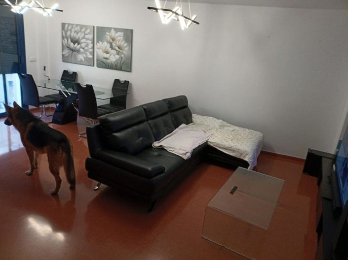 Image No.5-3 Bed Flat for sale