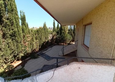 7342592015200322foto997831