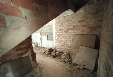 7342592015202451foto684561