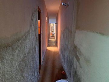 7342592015202433foto249163