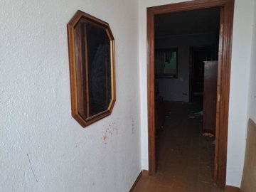 7342592015202433foto354745