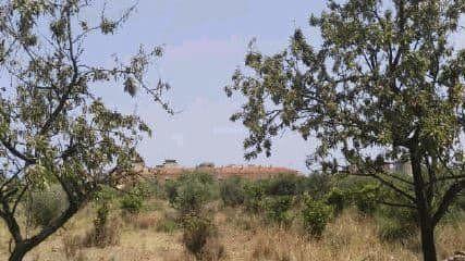 Image No.2-Plot for sale