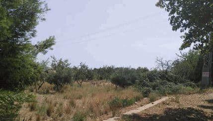 Image No.2-Plot for sale