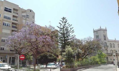 7342592015515456foto577889