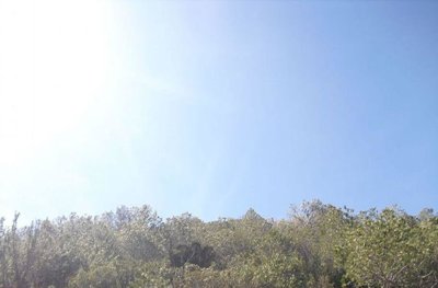 7342592015202481foto411378