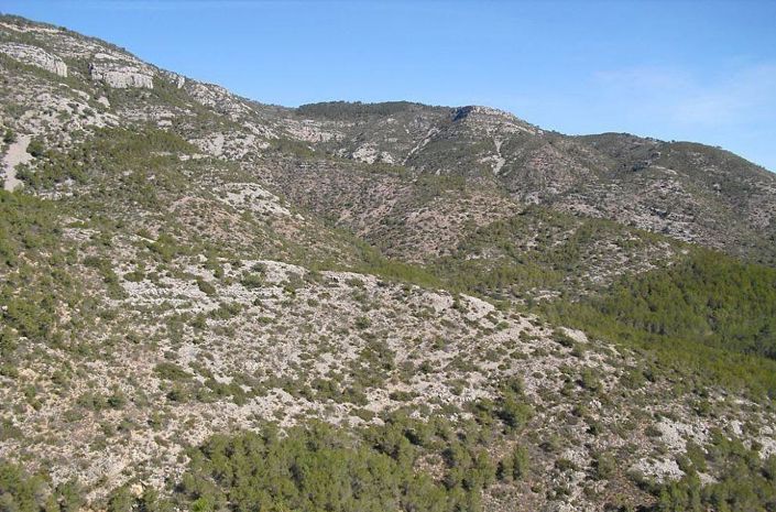Image No.12-Terrain à vendre à Castellon