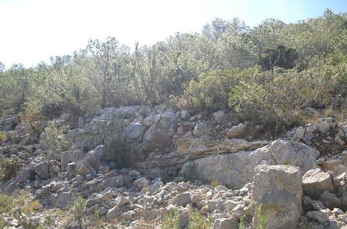 Image No.9-Terrain à vendre à Castellon