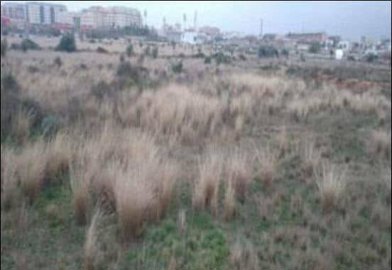 1 - Castellon, Plot