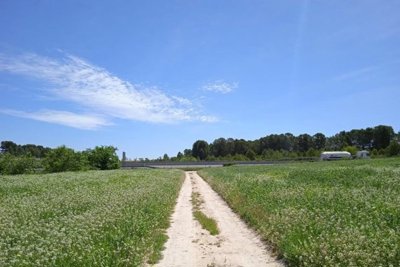 7342592015177965foto270696