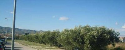 1 - Valencia, Terrain