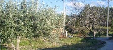 1 - Valencia, Terrain