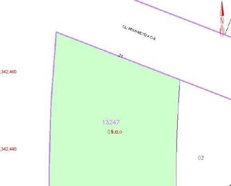 7342592015174323foto488261