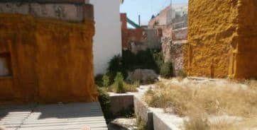 7342592015174358foto842991