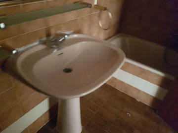 7342592015520307foto524356