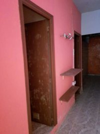 7342592015534591foto333605