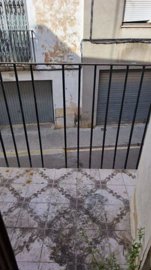 7342592015540430foto444290
