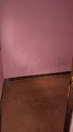 7342592015556837foto472311