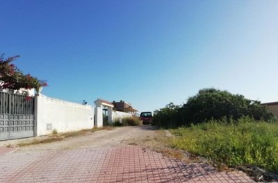 7342592015556784foto185430