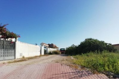 7342592015556784foto795680