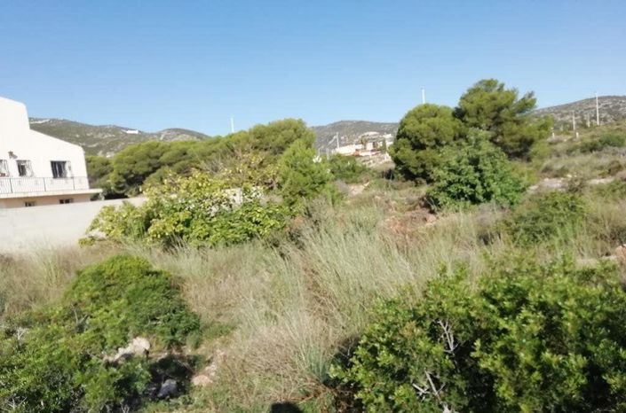 Image No.7-Plot for sale