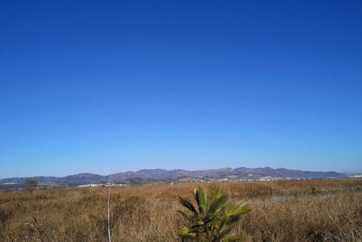 Image No.2-Plot for sale
