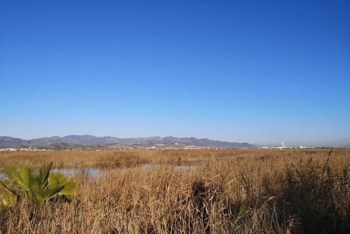 Image No.4-Plot for sale