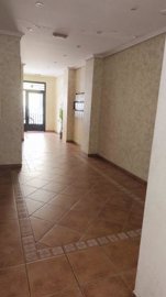 7342592015588261foto824926