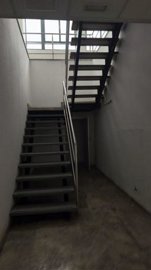 7342592015622254foto275653