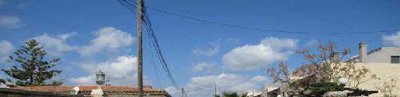 7342592015626817foto352429