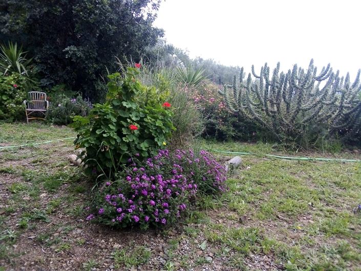 Image No.10-4 Bed Country House for sale