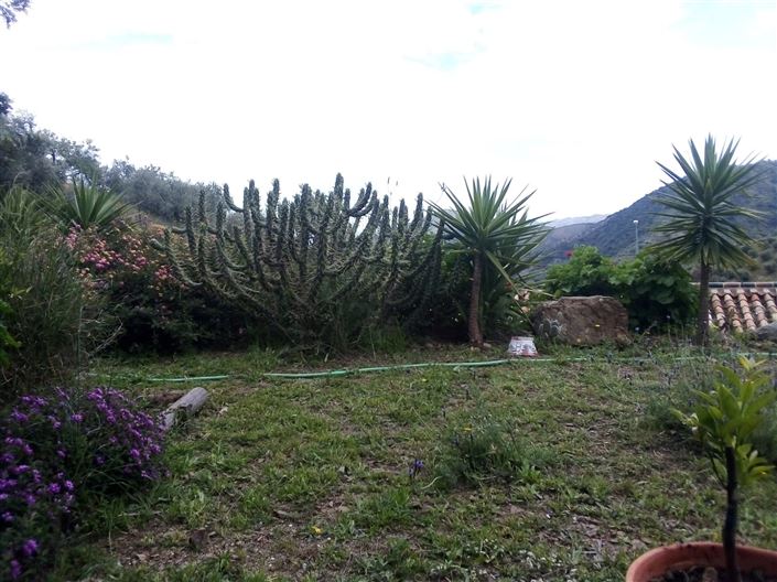 Image No.14-4 Bed Country House for sale