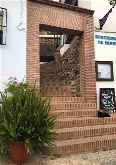 Image No.11-Maison de campagne à vendre à Frigiliana