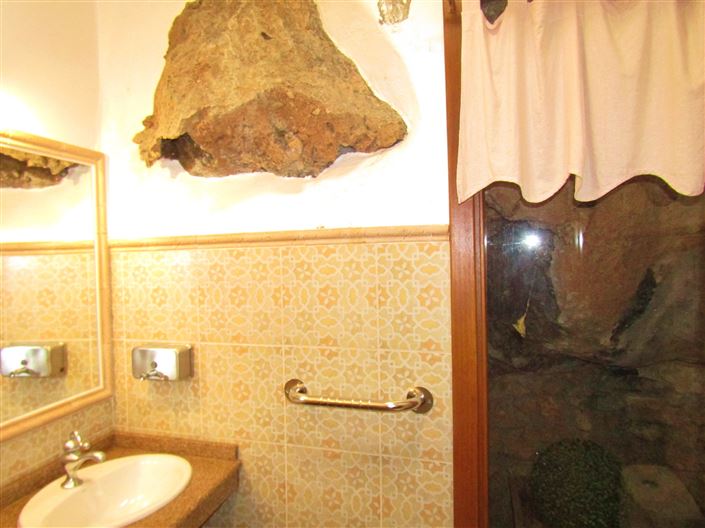 Image No.25-Maison de campagne à vendre à Frigiliana