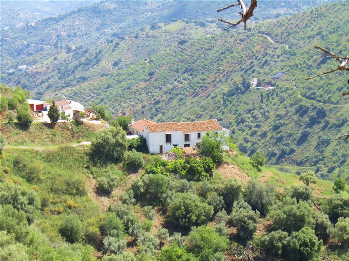 Image No.1-Cortijo de 5 chambres à vendre à Colmenar